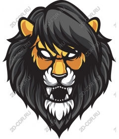  Ferocious lion head