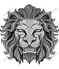  A majestic lion's head