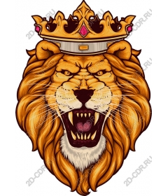 Королевский Король Лев