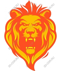  Colourful lion head