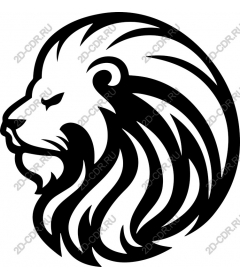  A majestic lion's head