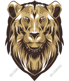  A majestic lion's head