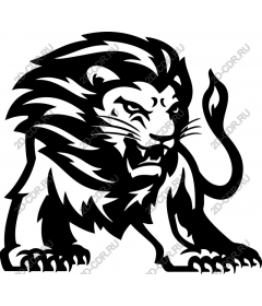 Majestic lion