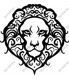  A majestic lion's head