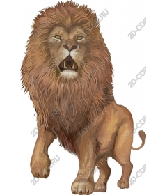 Majestic lion