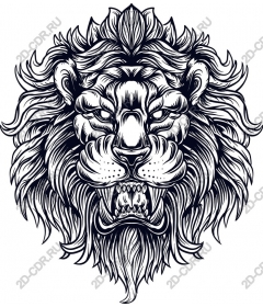  A majestic lion's head