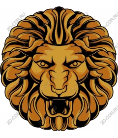  A majestic lion's head