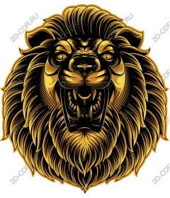  A majestic lion's head