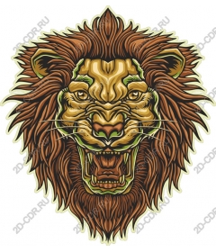  A majestic lion's head