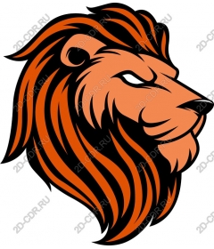  A majestic lion's head