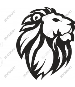  A majestic lion's head
