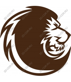  The Strength Of A Lion