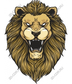  Ferocious lion head