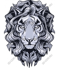  A majestic lion's head