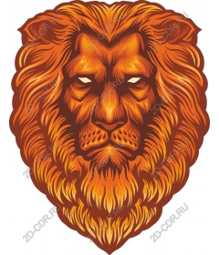  A majestic lion's head