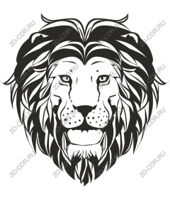 Majestic lion