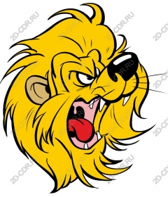  Ferocious lion