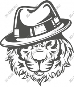  Cool cat lion