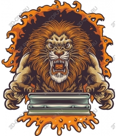  Ferocious lion