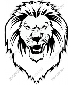  Ferocious lion