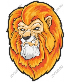  Ferocious lion head