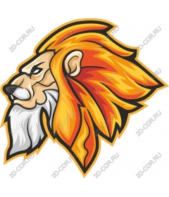  Colourful lion head