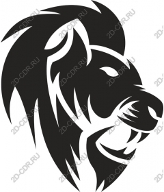  A majestic lion's head