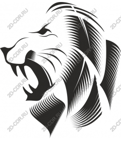  Roaring lion
