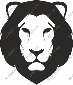  A majestic lion's head