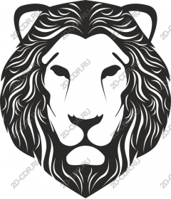  A majestic lion's head