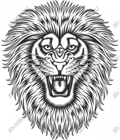  Ferocious lion head
