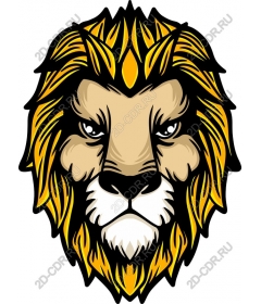  A majestic lion's head