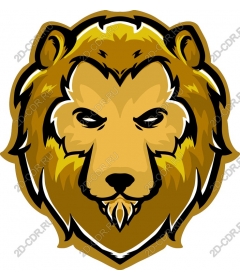  Daring lion head