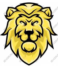  A majestic lion's head