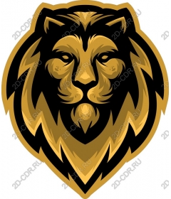  A majestic lion's head