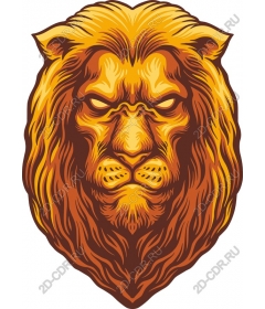  A majestic lion's head