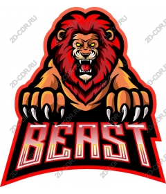  Animal Lion