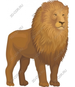 Majestic lion