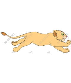 Playful cub