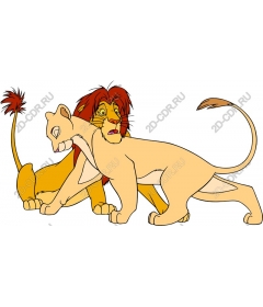 Majestic Lion-duet