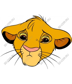  Adorable lion cub