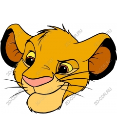  Adorable lion cub