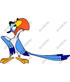  Bright parrot