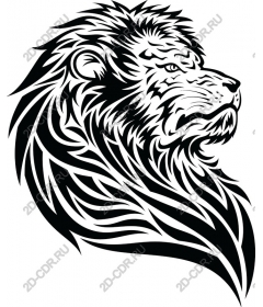  A majestic lion's head