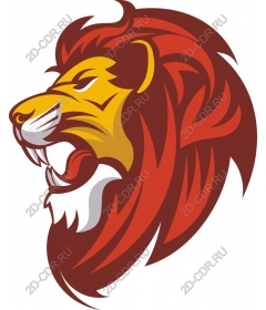  A majestic lion's head