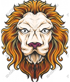  A majestic lion's head