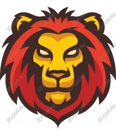  Ferocious lion
