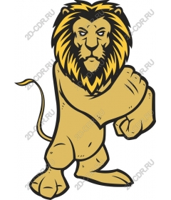  Ferocious lion