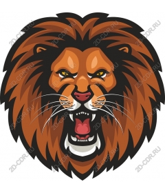 A majestic lion's head