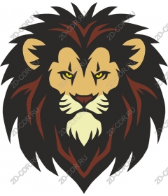  A majestic lion's head